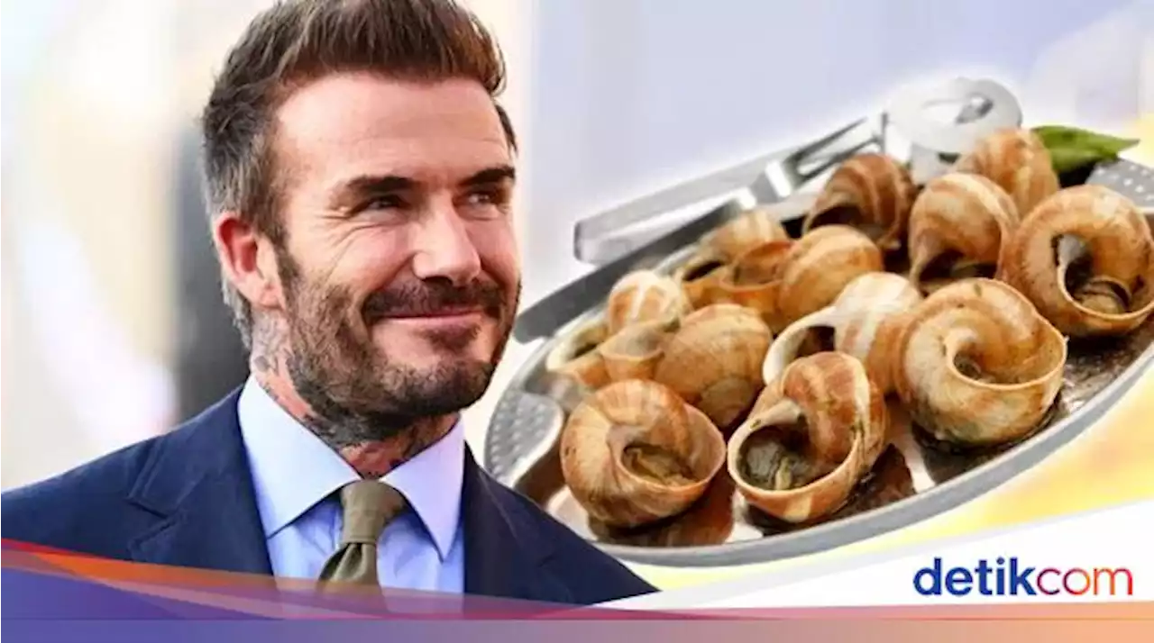 David Beckham Mengaku Pernah Kalap Makan 32 Bekicot Sekaligus