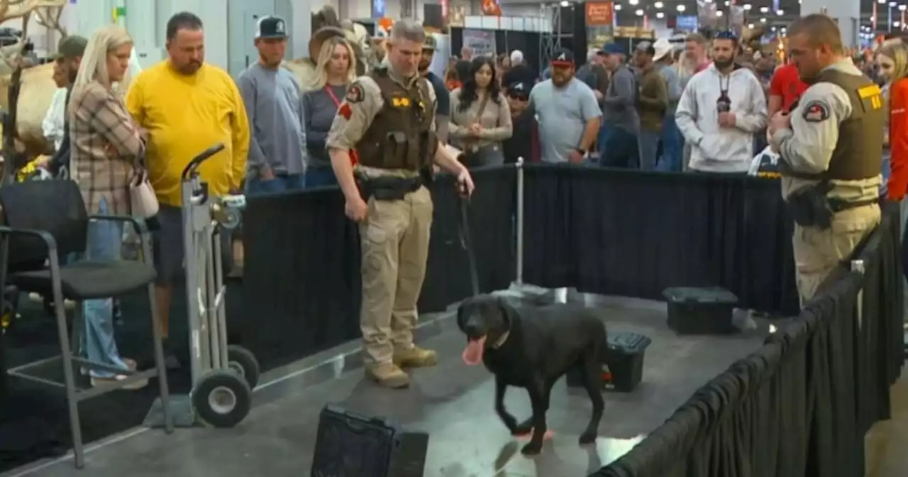 Utah DWR's anti-poaching dogs show what they're about at Western Hunting & Conservation Expo