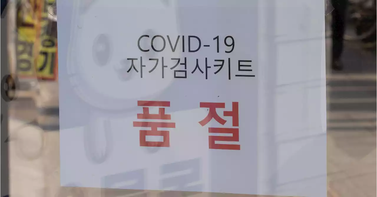 프랑스 1700원·벨기에 2700원…천차만별 자가키트 가격 비교