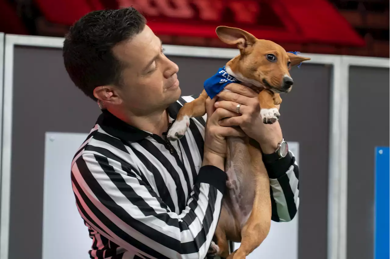 'I'm the Puppy Bowl 'ruff-eree'—Snoop Dogg's 'Team Fluff' will return with a vengeance'