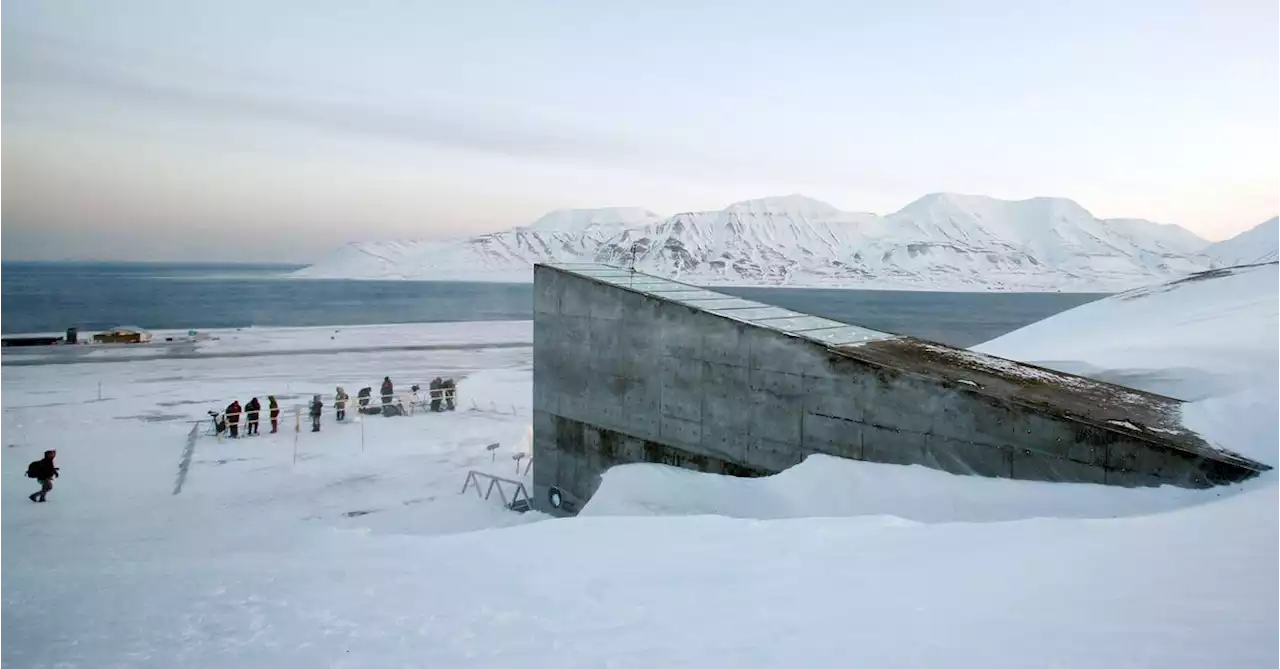 Arctic seed vault to receive rare deposits