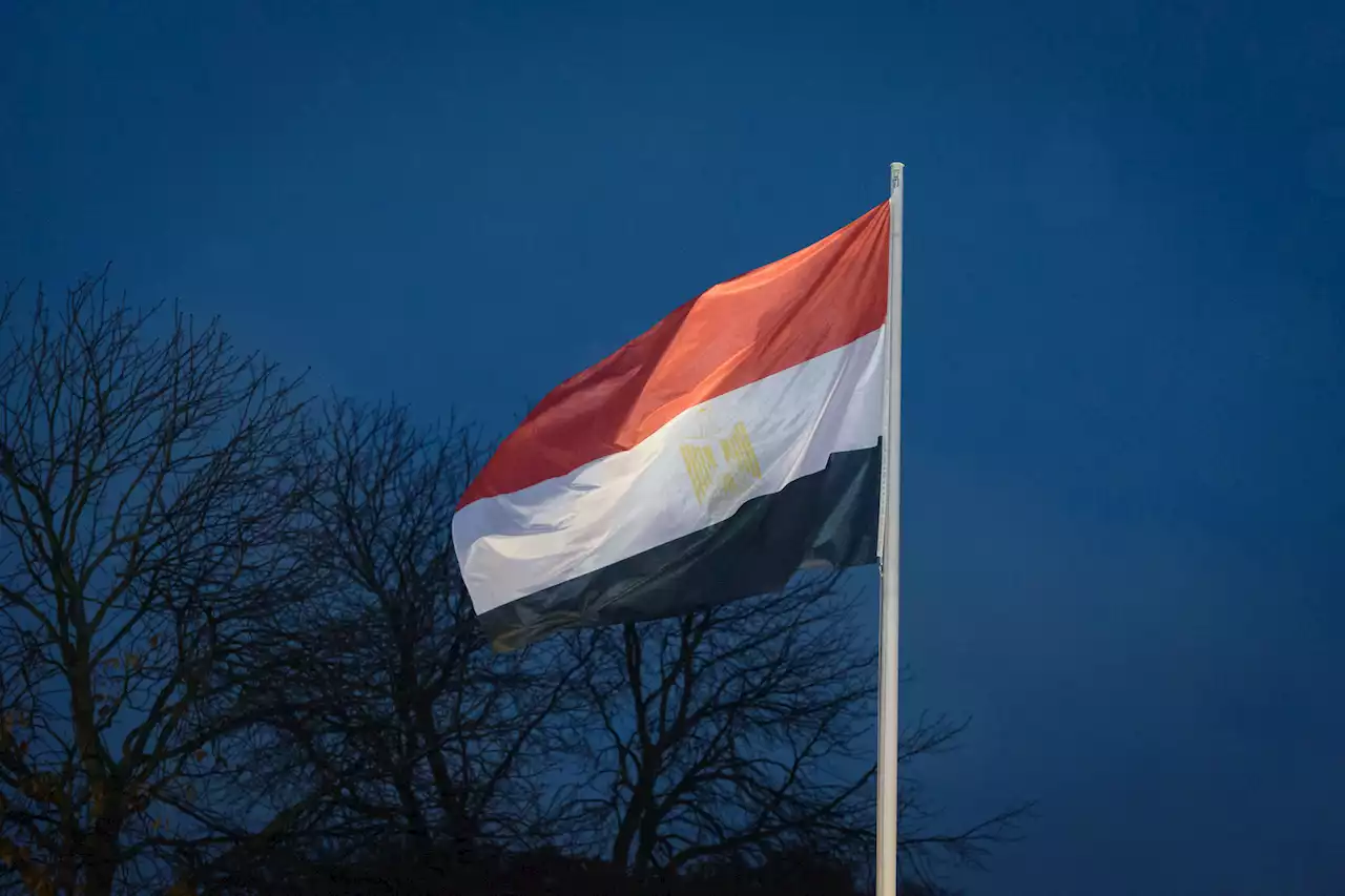 مصر.. المدير التنفيذي لصندوق النقد الدولي يتحدث عن أسباب تجعل يد وزير المالية مغلولة