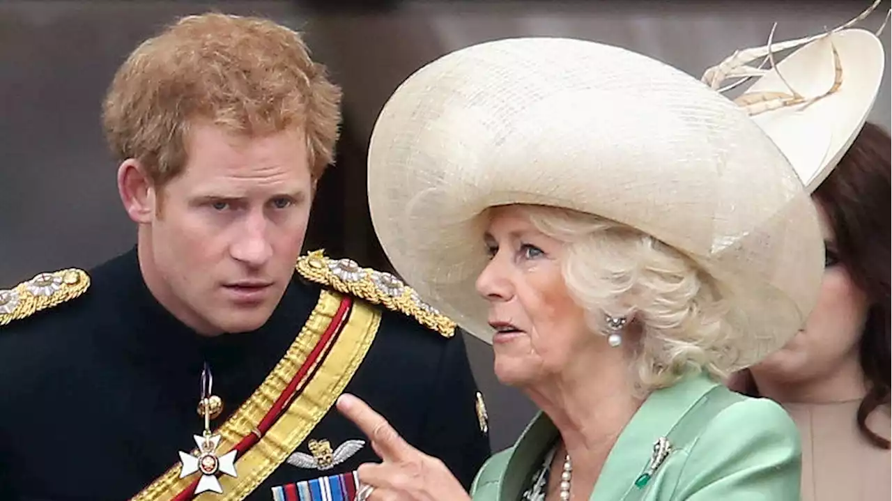 Dentro il rapporto tra il principe Harry e la futura regina Camilla