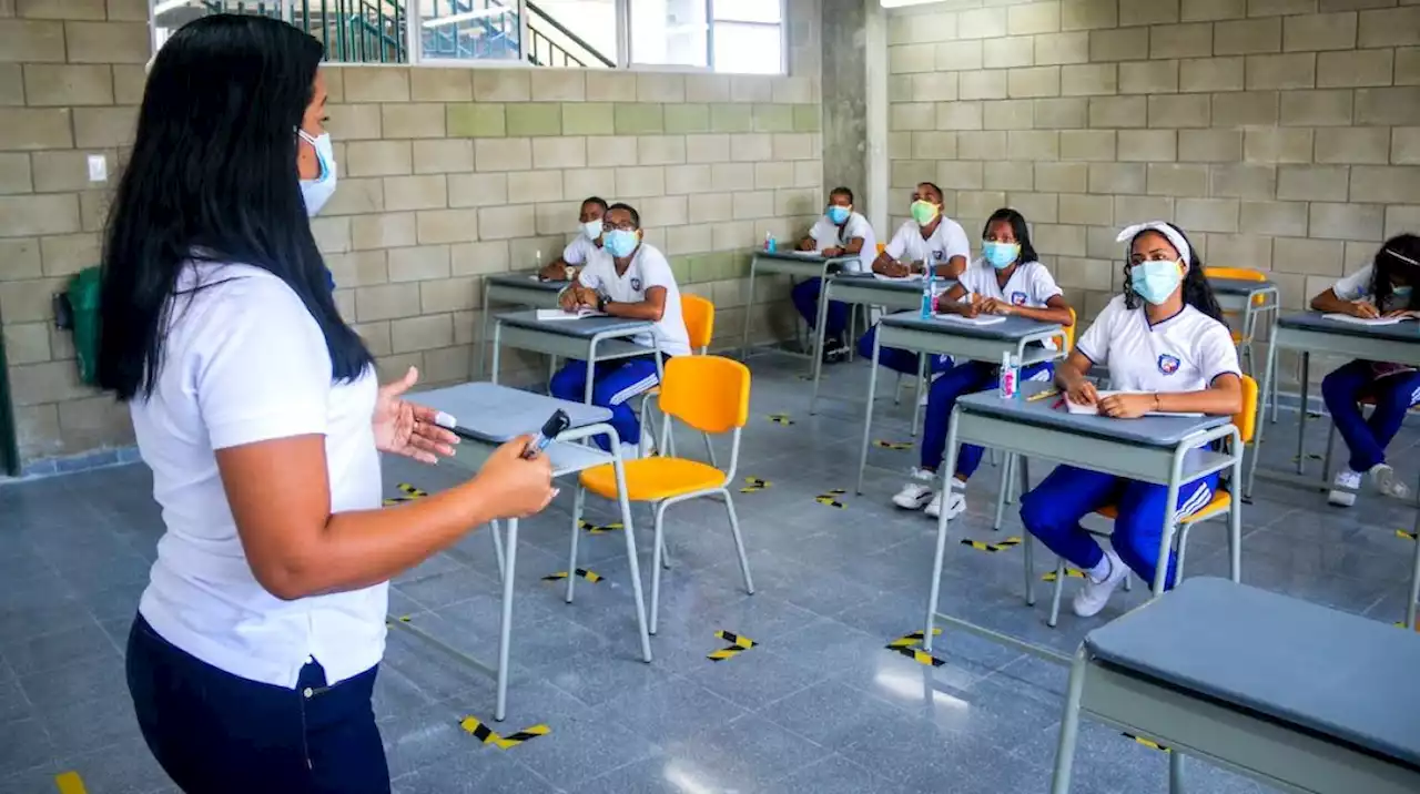 Así opera la educación gratuita en el Distrito, desde la infancia hasta la universidad