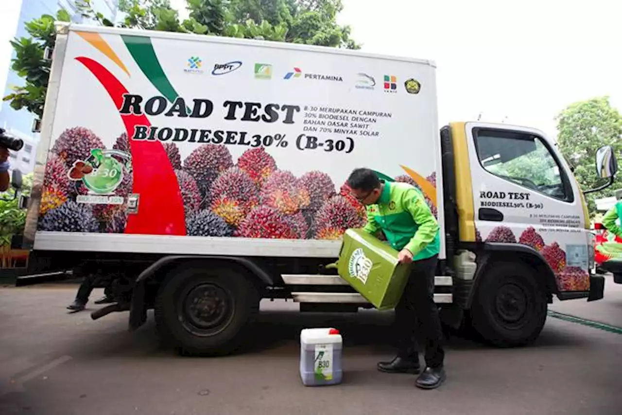 Kemendag Kenakan DMO dan DPO Biodiesel, Ini Komentar Aprobi | Ekonomi - Bisnis.com