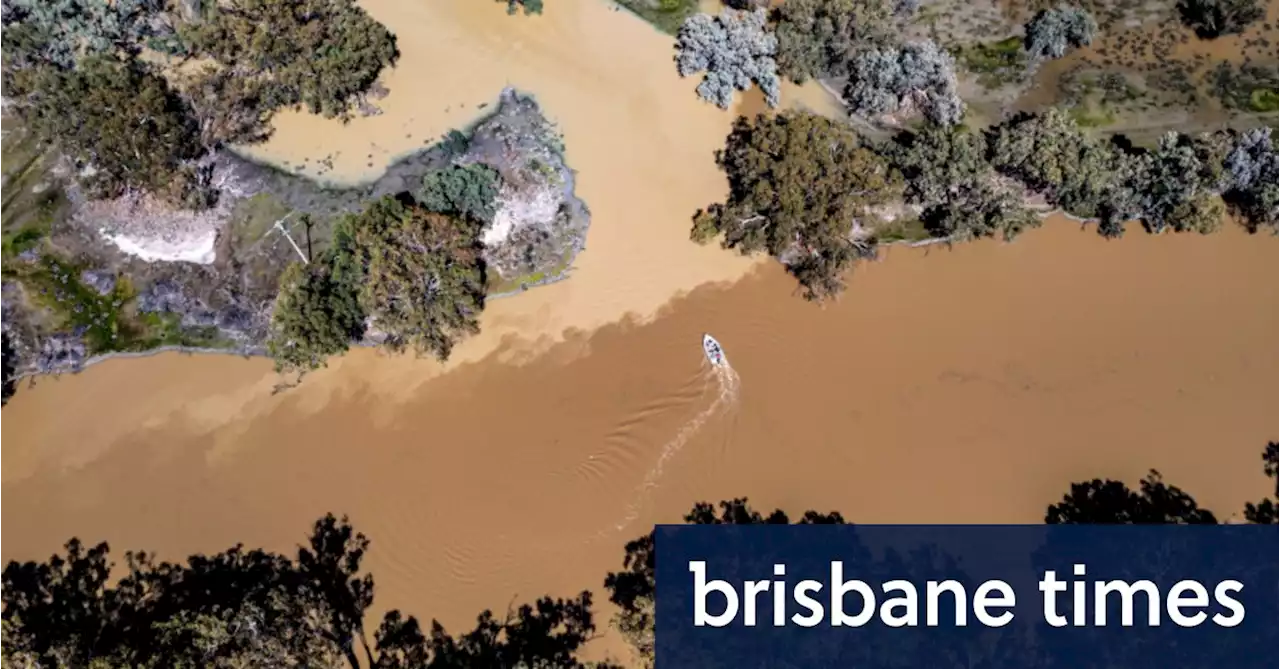 River managers fight to save Menindee Lakes from flood of deadly blackwater