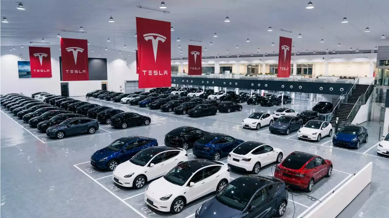 Tesla Shanghai Capacity Will Exceed 1 Million Cars In 2022, BYD Blade Batteries Coming