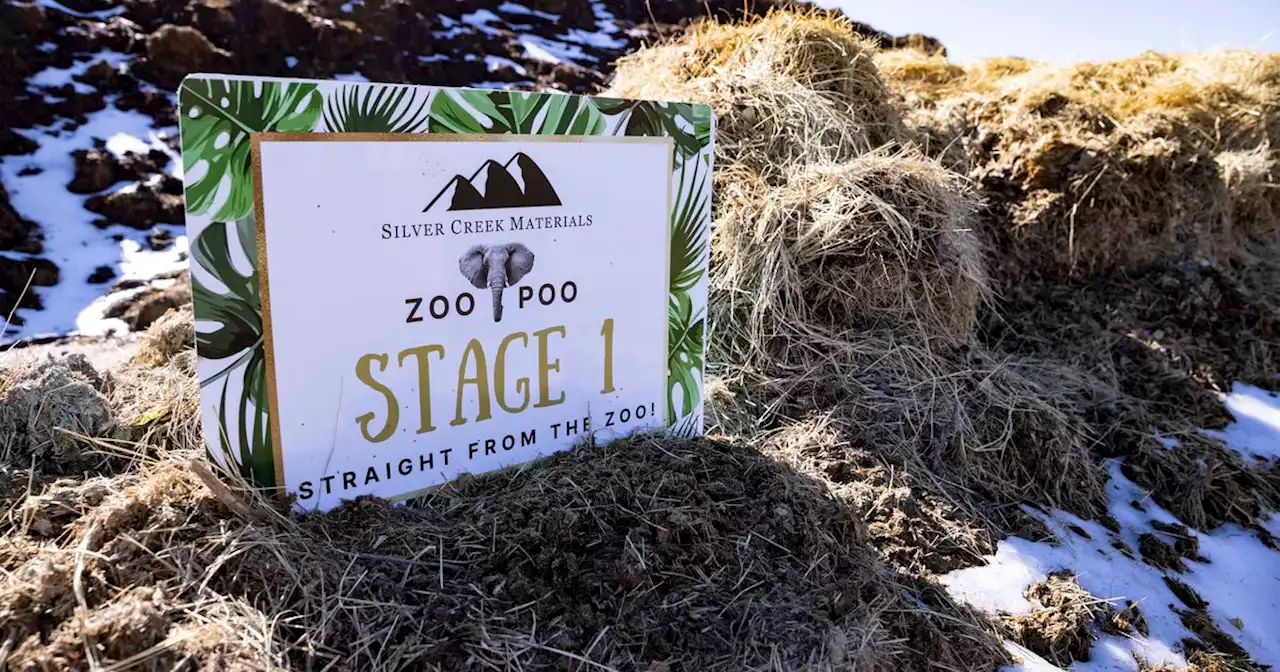 What to do with all that zoo poo? Dallas Zoo, Fort Worth company have a plan for animal waste