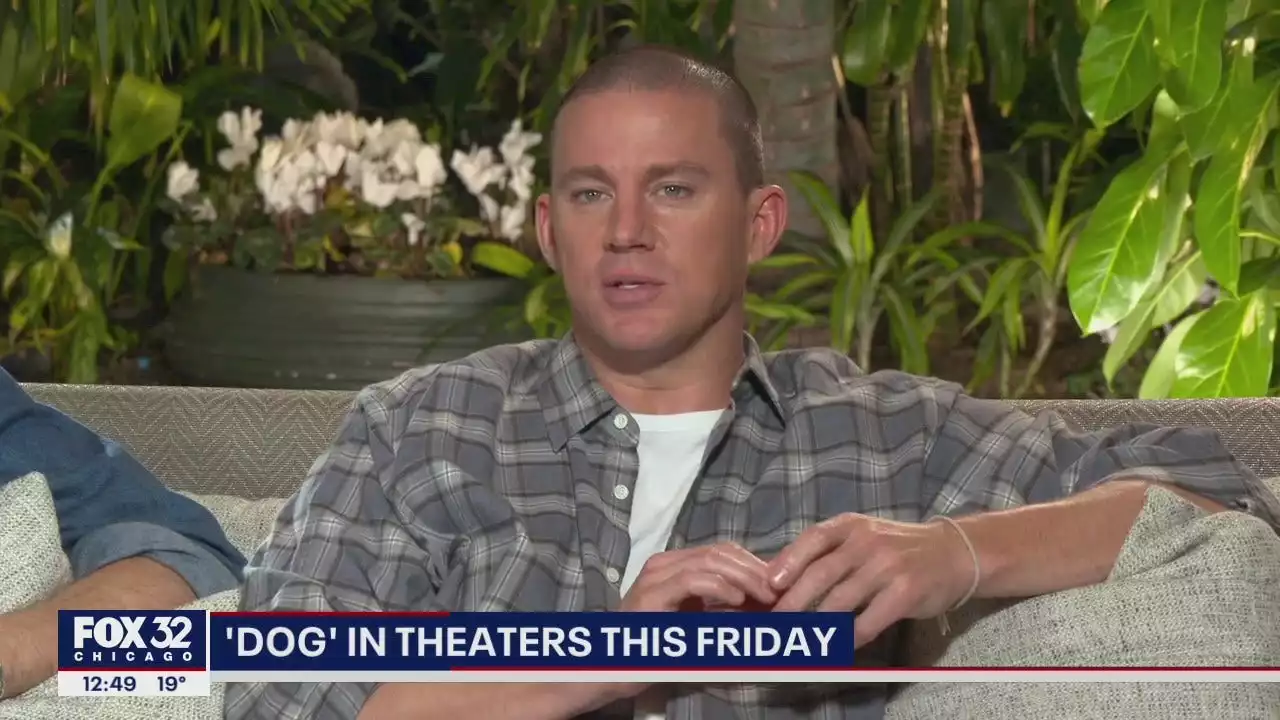 Channing Tatum talks about his K9 co-star in new film 'Dog'