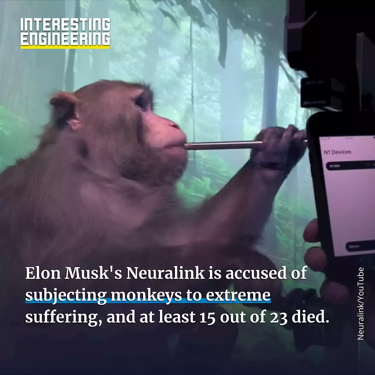 Elon Musk's Neuralink is accused of subjecting monkeys to extreme suffering