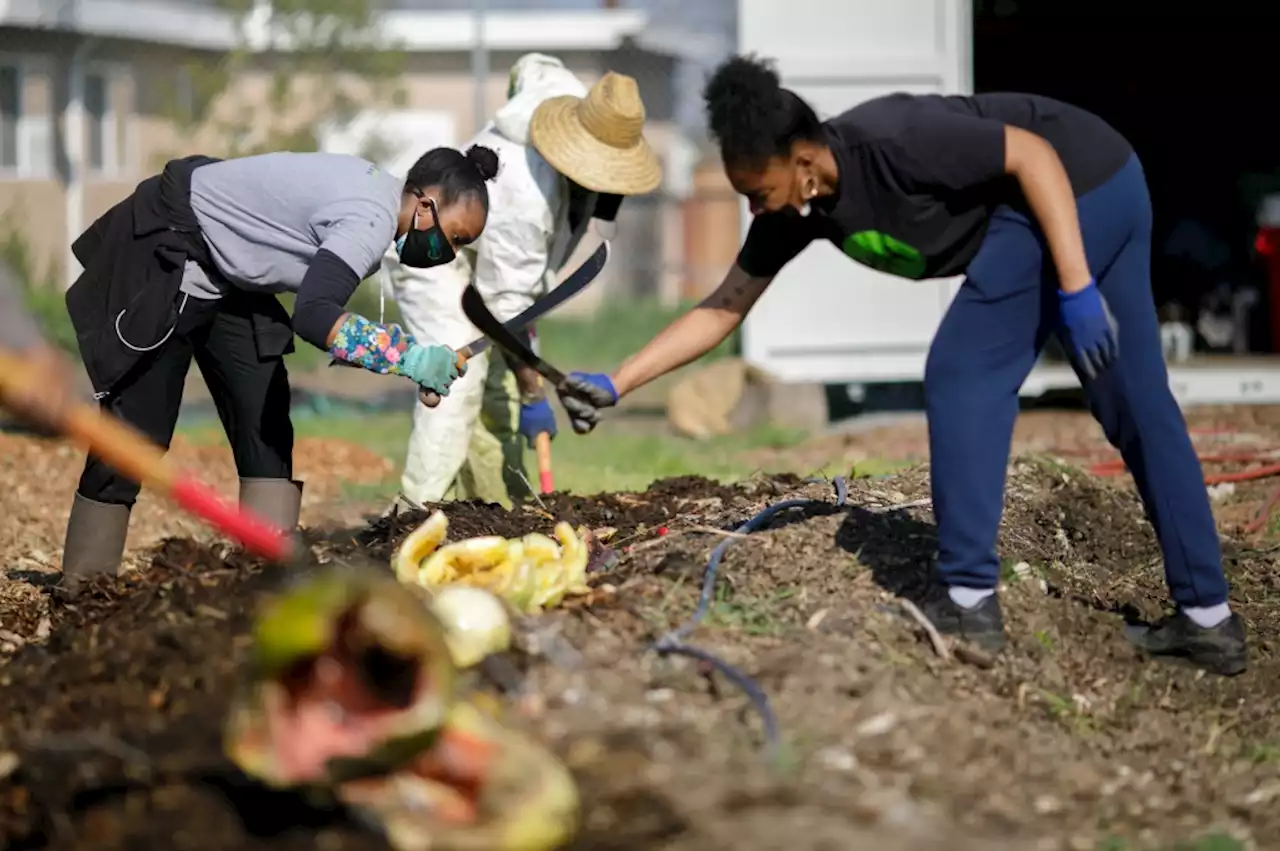 Community groups renew push for California health equity and racial justice fund