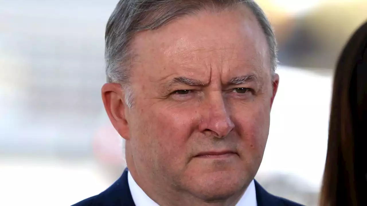 Aussie voters pass judgment on Albo