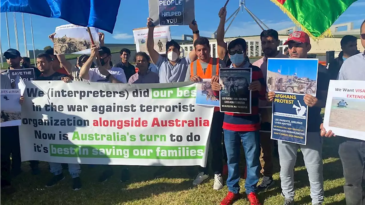 'Don't abandon us': Former Afghan interpreters rally outside Parliament House