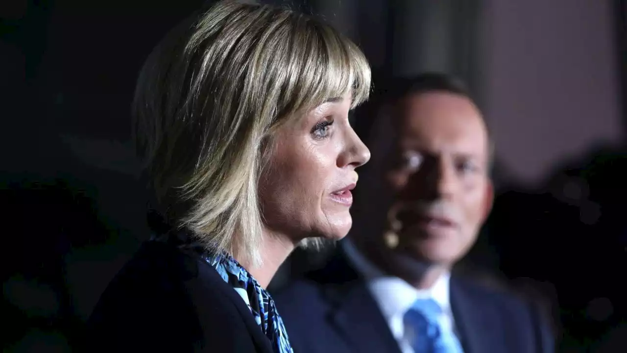 ‘Absolute hypocrisy’: Zali Steggall condemned for undisclosed $100,000 donation