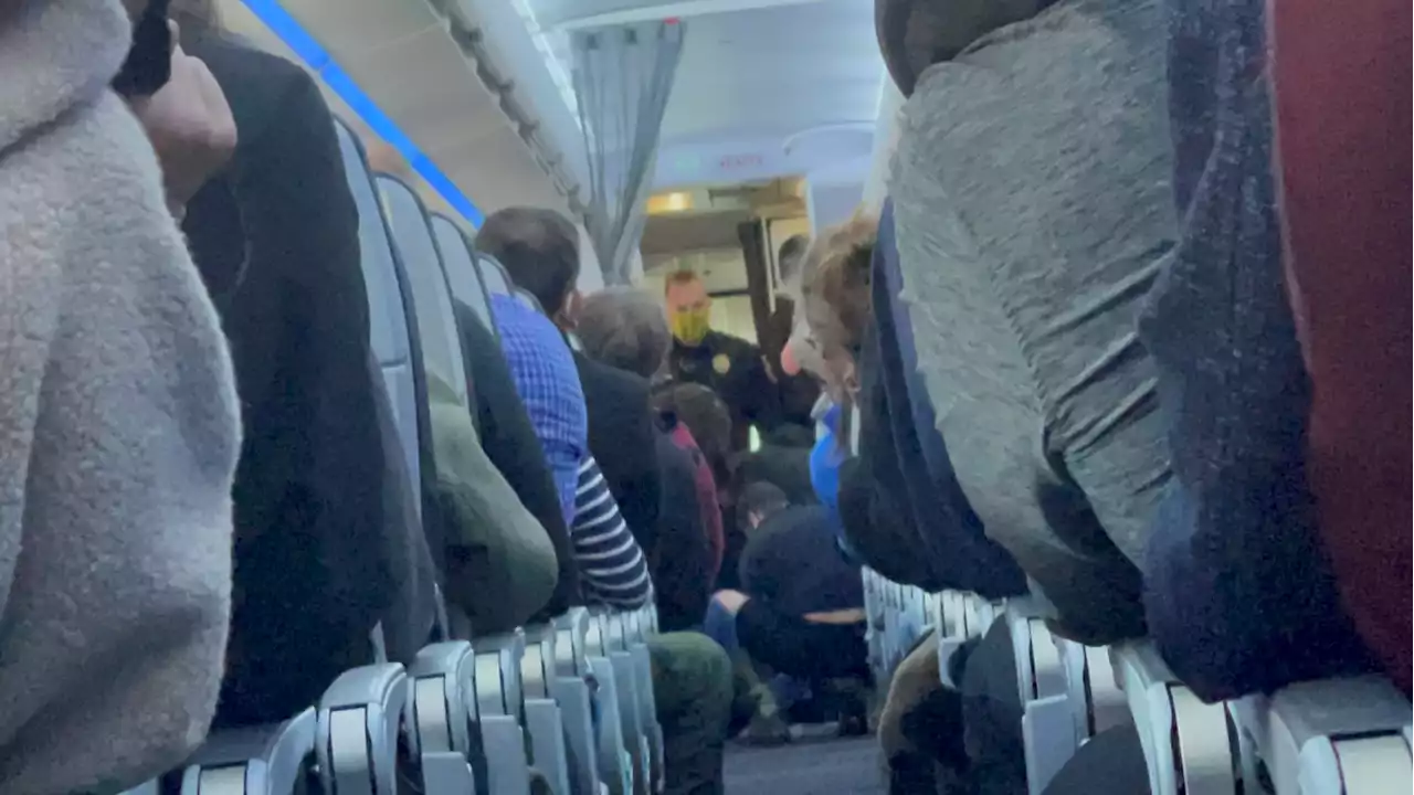 Passenger Goes Berserk on American Airlines Flight to D.C.