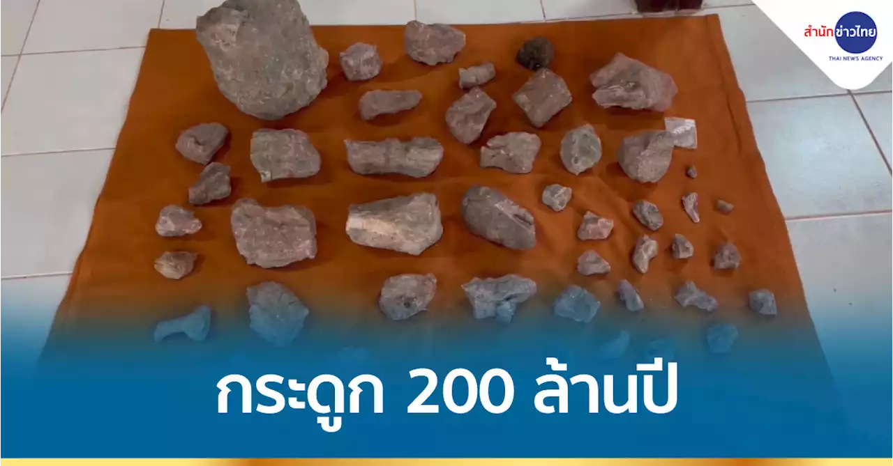 พระธุดงค์พบกระดูกไดโนเสาร์อายุ 200 ล้านปี