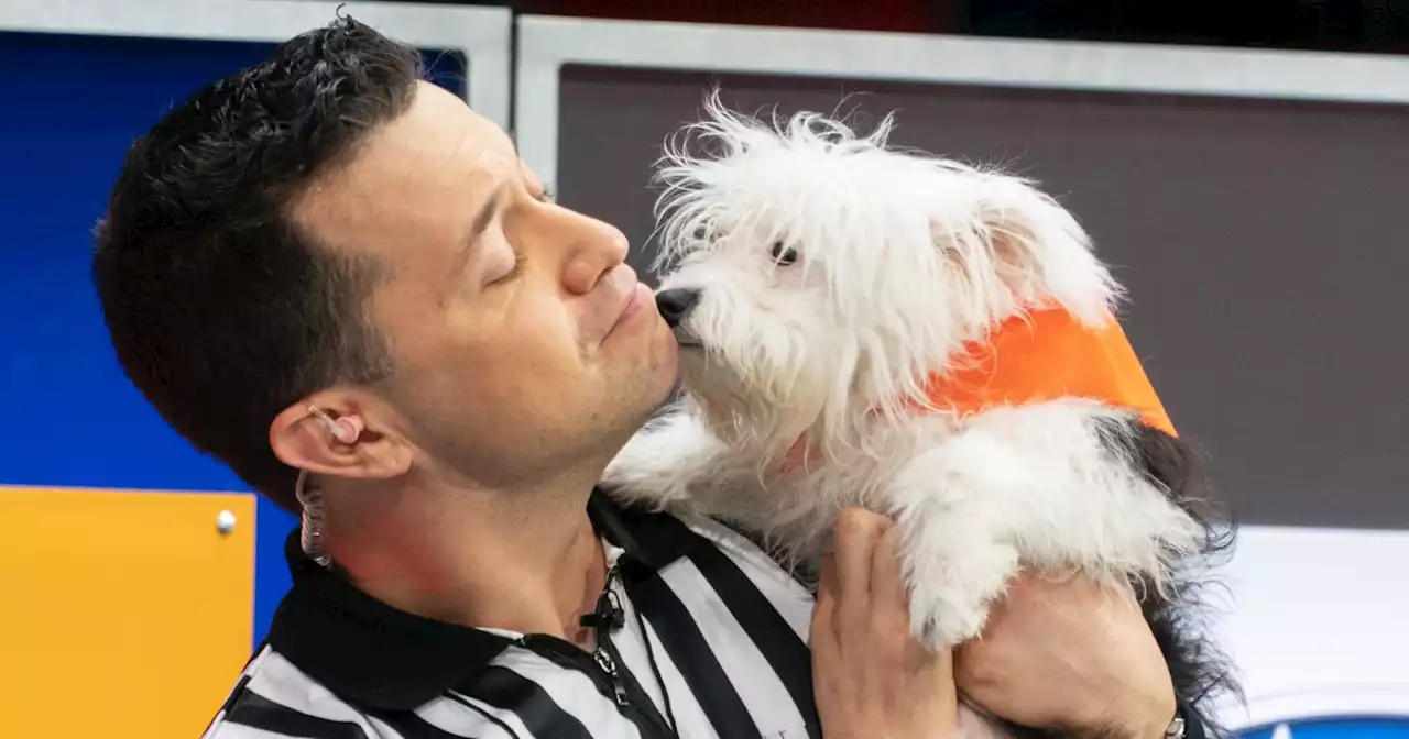 How Puppy Bowl ‘rufferee’ took on the event’s biggest year yet