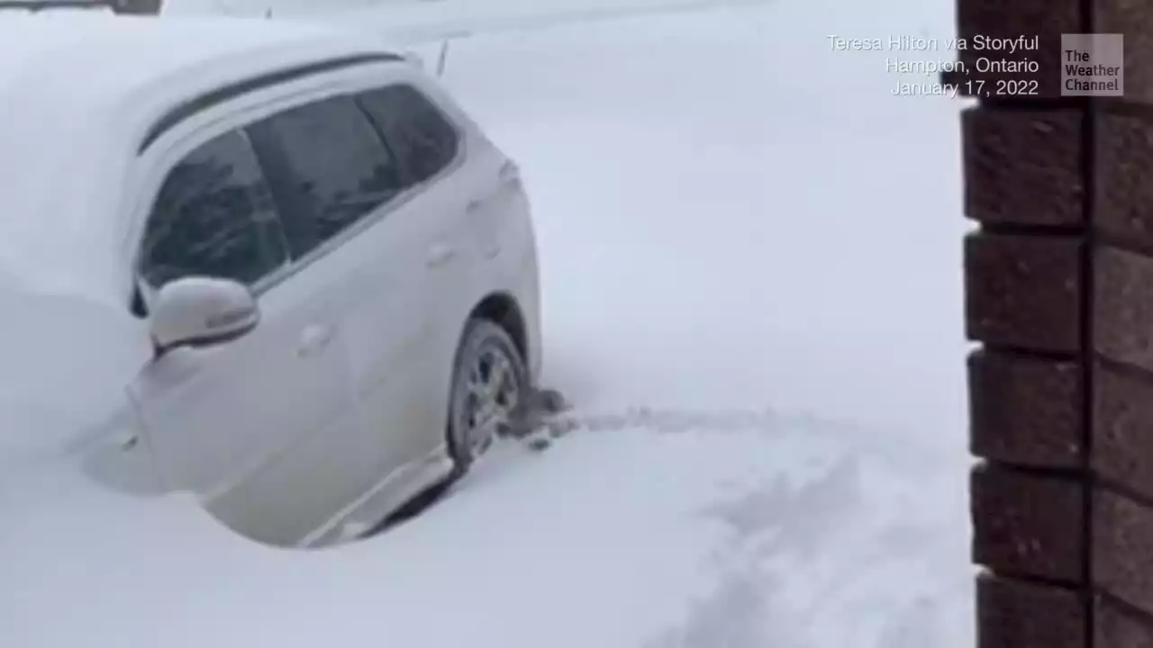 A Dachshund’s Valiant Effort to Forge Through Deep Snow - Videos from The Weather Channel | weather.com