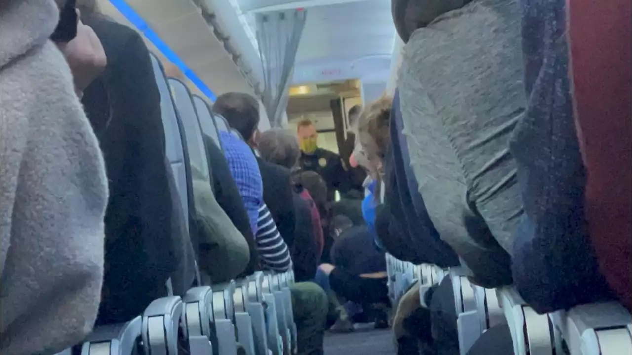 Passenger Goes Berserk on American Airlines Flight, Forcing Emergency Landing