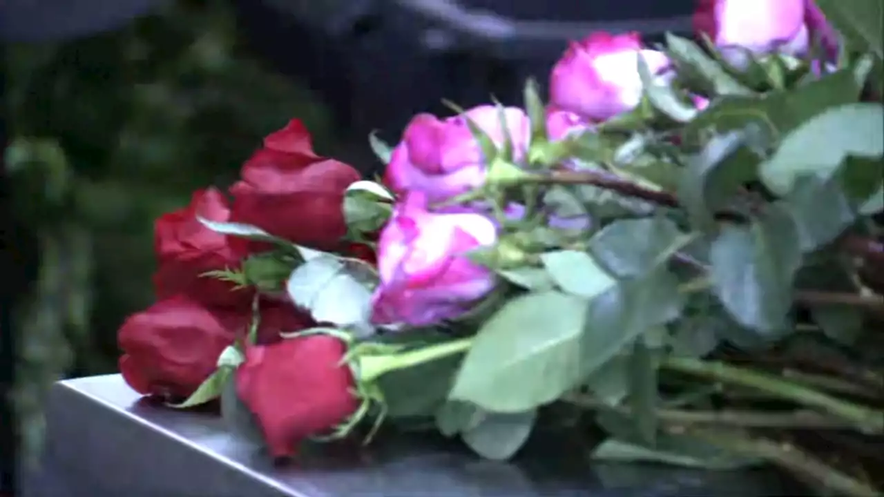 Bay Area florist says cost of Valentine's Day roses up 40% this year amid supply chain issues