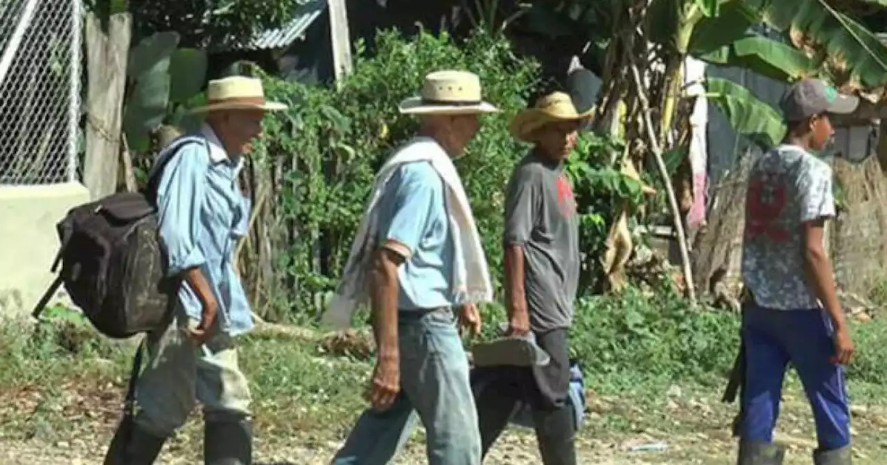 El 2021 dejó al menos 73.900 personas desplazadas y 65.600 confinadas en Colombia: OCHA