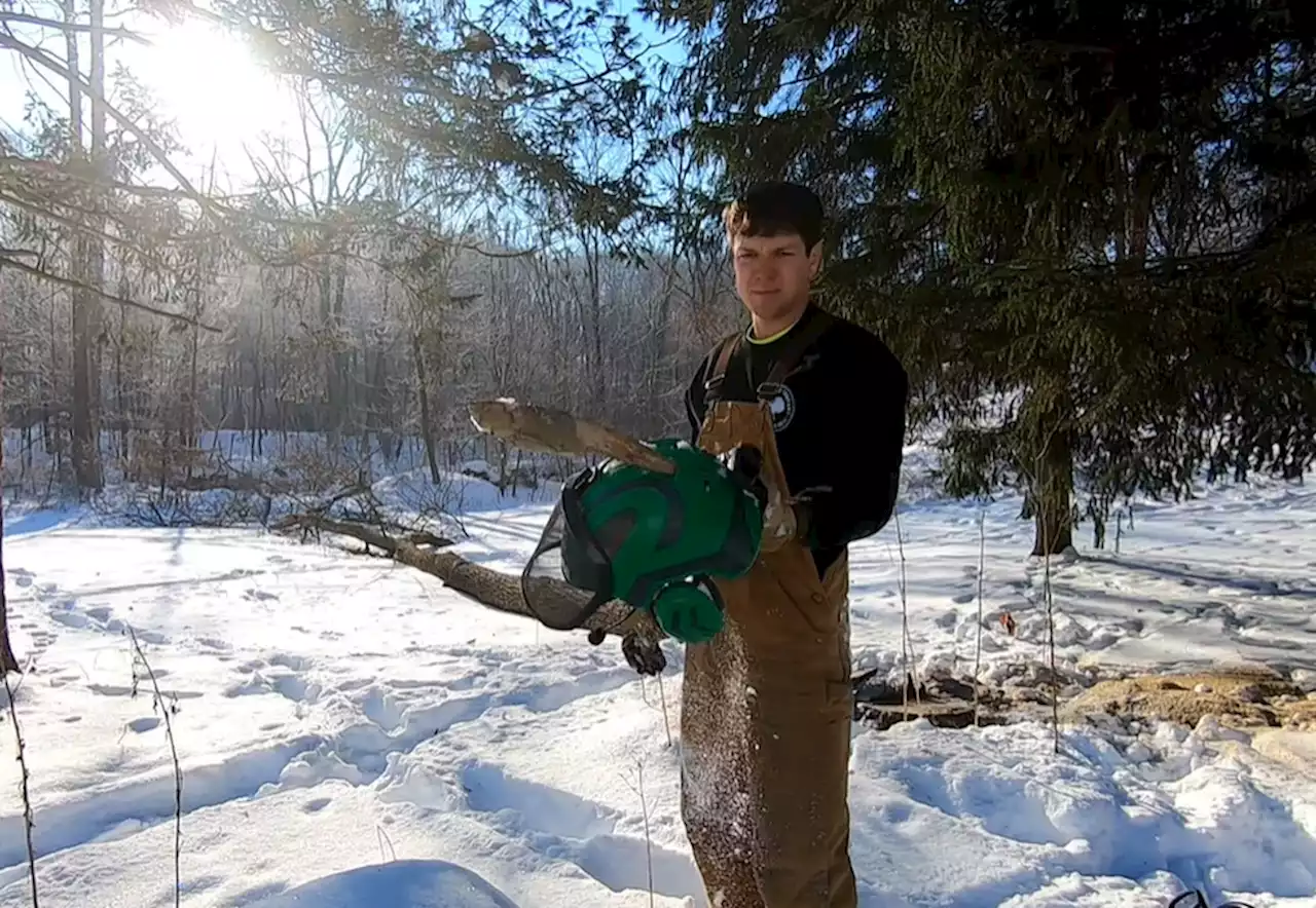 Northeast Ohio arborist avoids serious injury after limb pierces through safety helmet (video)