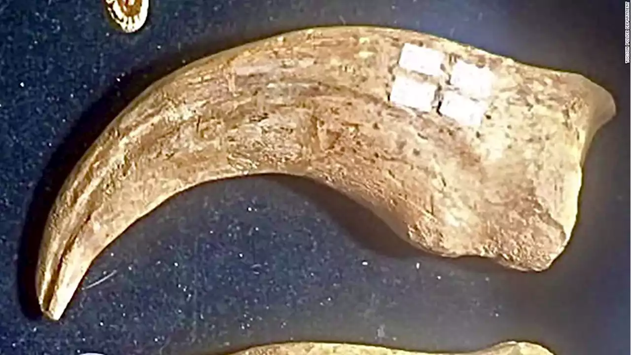 Man charged after allegedly stealing dinosaur claw from Arizona gem show