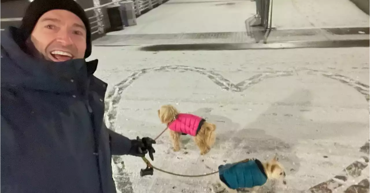 Hugh Jackman Sends Funny Valentine's Day Greeting From His Dogs