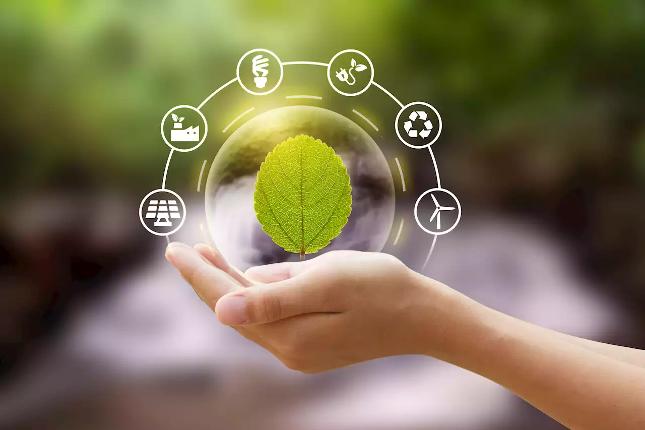 New Tech Offerings Aim To Help Businesses Realize Sustainability Goals