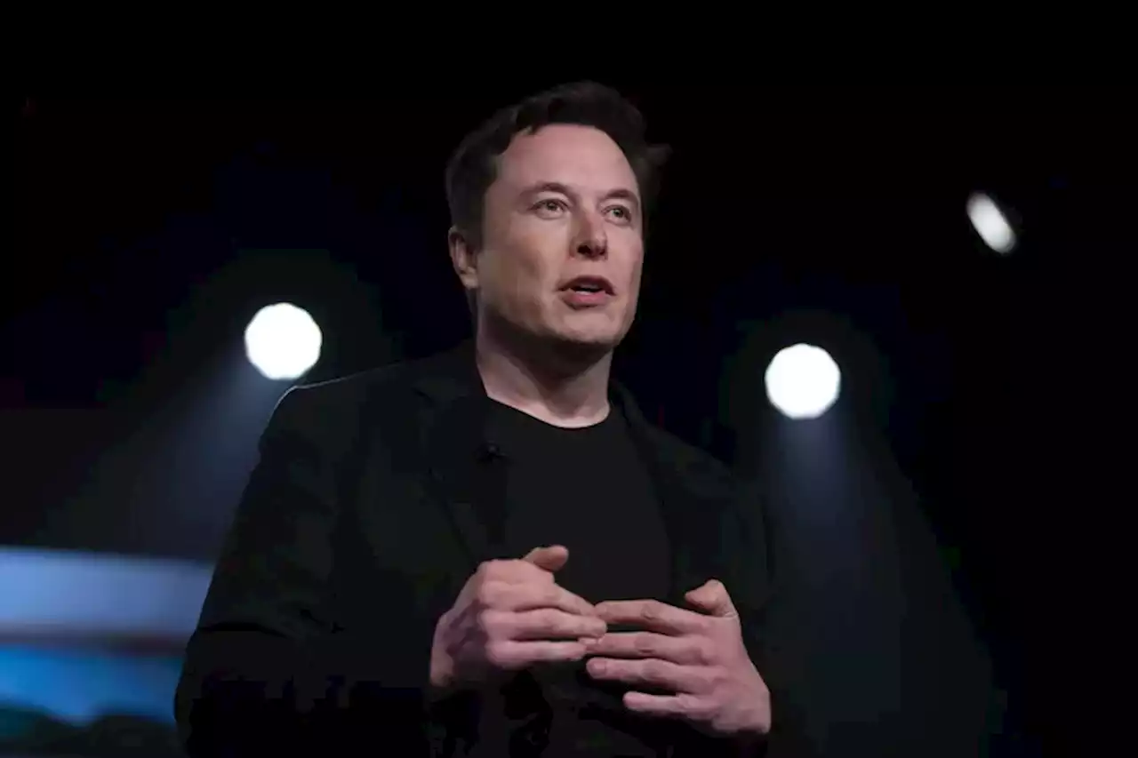 Elon Musk, en problemas: 15 monos murieron en sus experimentos con chips cerebrales