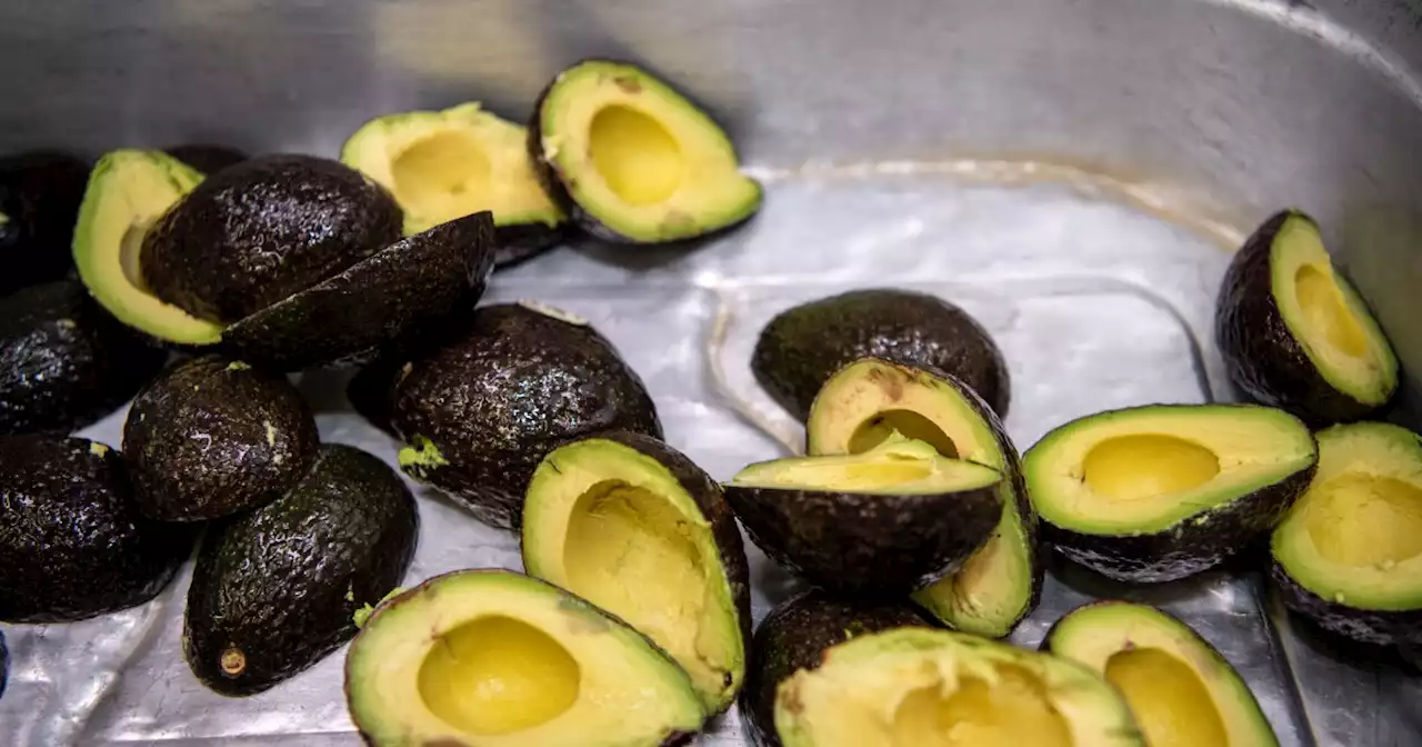 Avocado spat with Mexico puts California farmers in spotlight