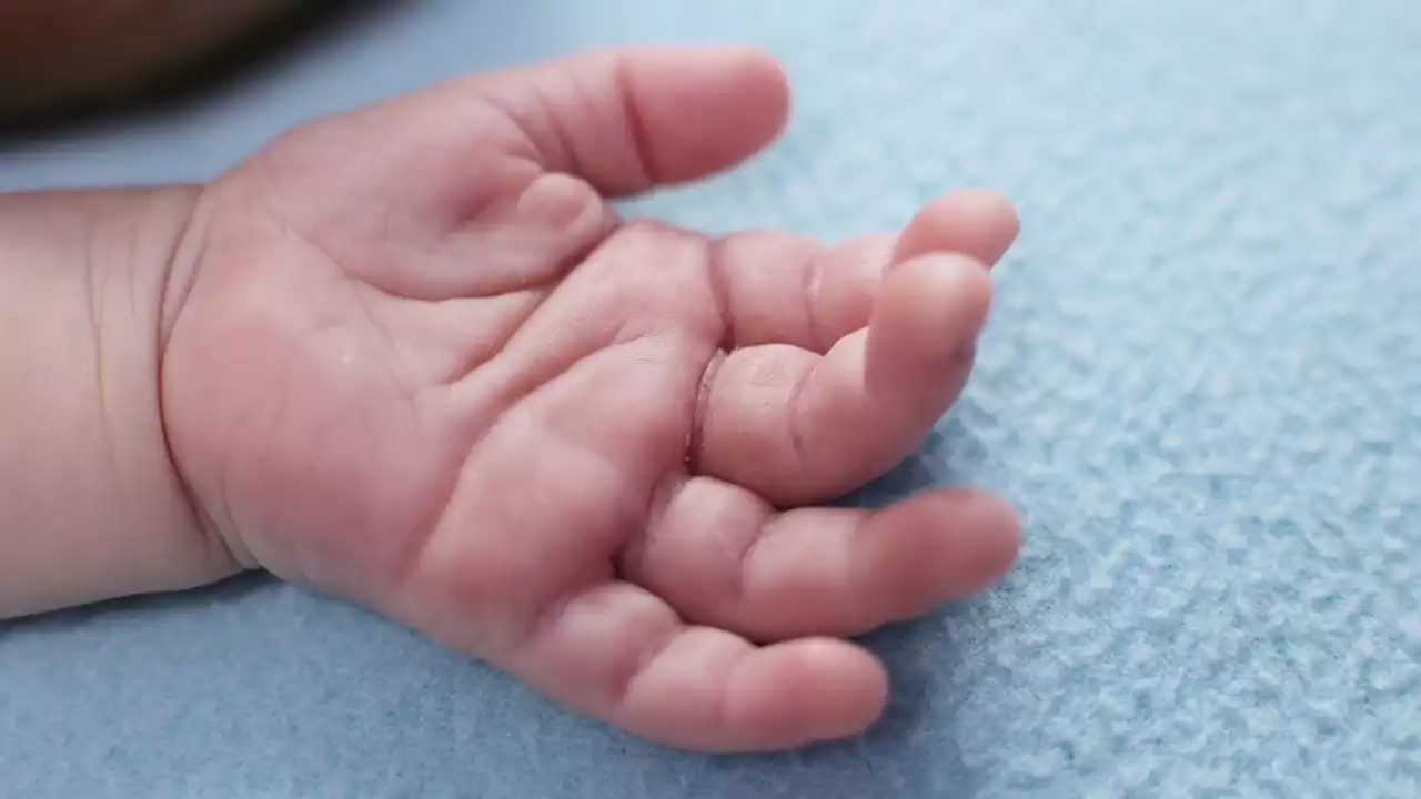 Un niño se cayó de un séptimo piso, están investigando los hechos