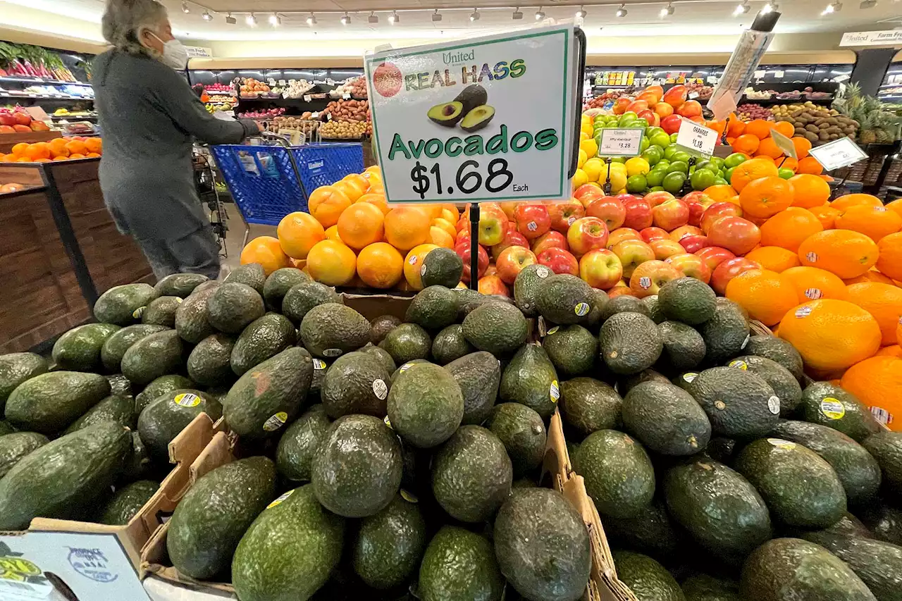 US will halt Mexico avocado imports ‘as long as necessary’