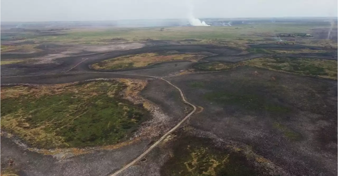 'A line of fire': Argentina blaze burns 500,000 hectares amid drought