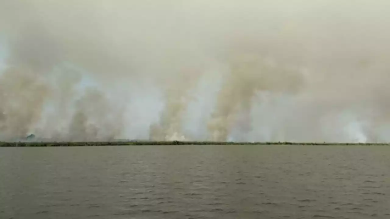 Los incendios en Corrientes alcanzaron el ingreso a los Esteros del Iberá