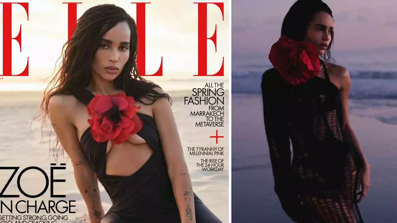 Zoe Kravitz Talks Karl Glusman Divorce, Dating Channing Tatum and Babies In New Interview