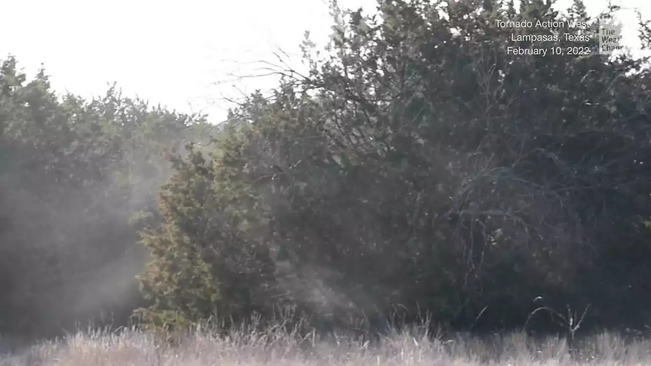 Giant Pollen Explosion in Texas - Videos from The Weather Channel | weather.com