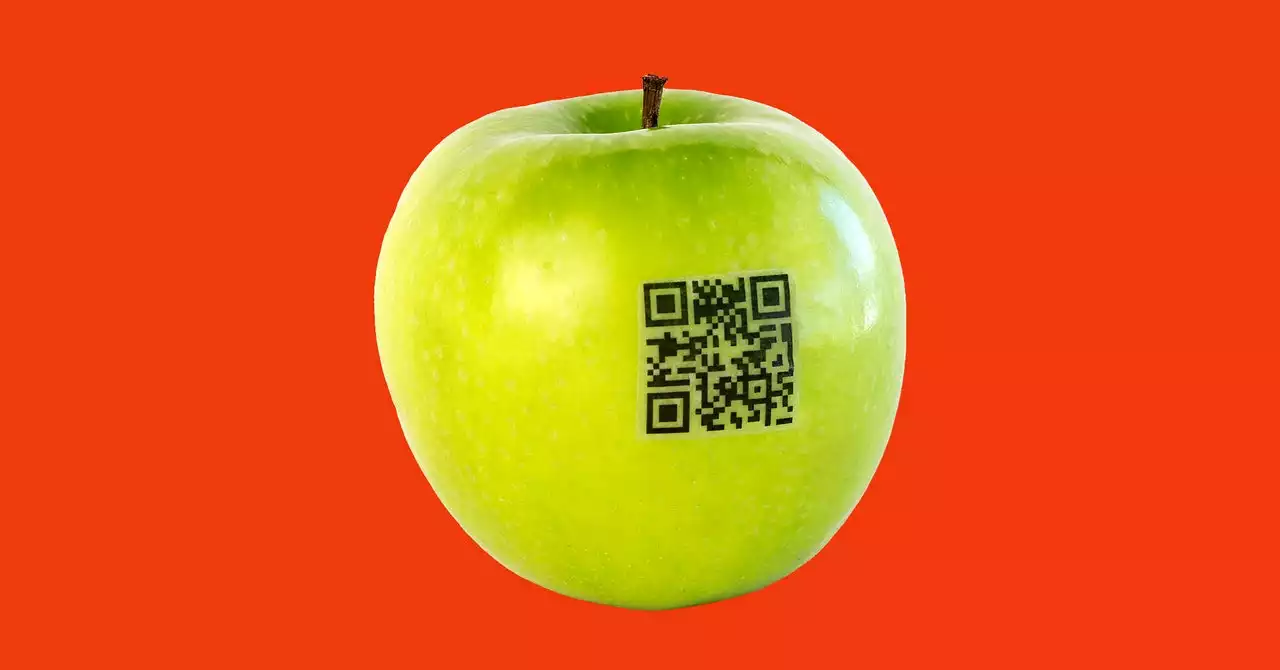 How to Scan a QR Code on Your Smartphone