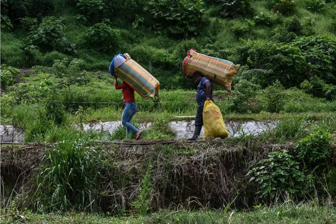 Alarmante: más de 73.000 colombianos fueron víctimas de desplazamiento en todo 2021