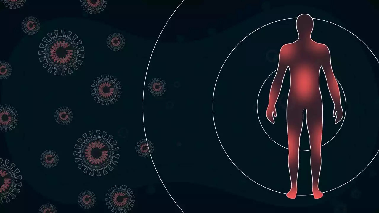 The Science Behind Long Covid