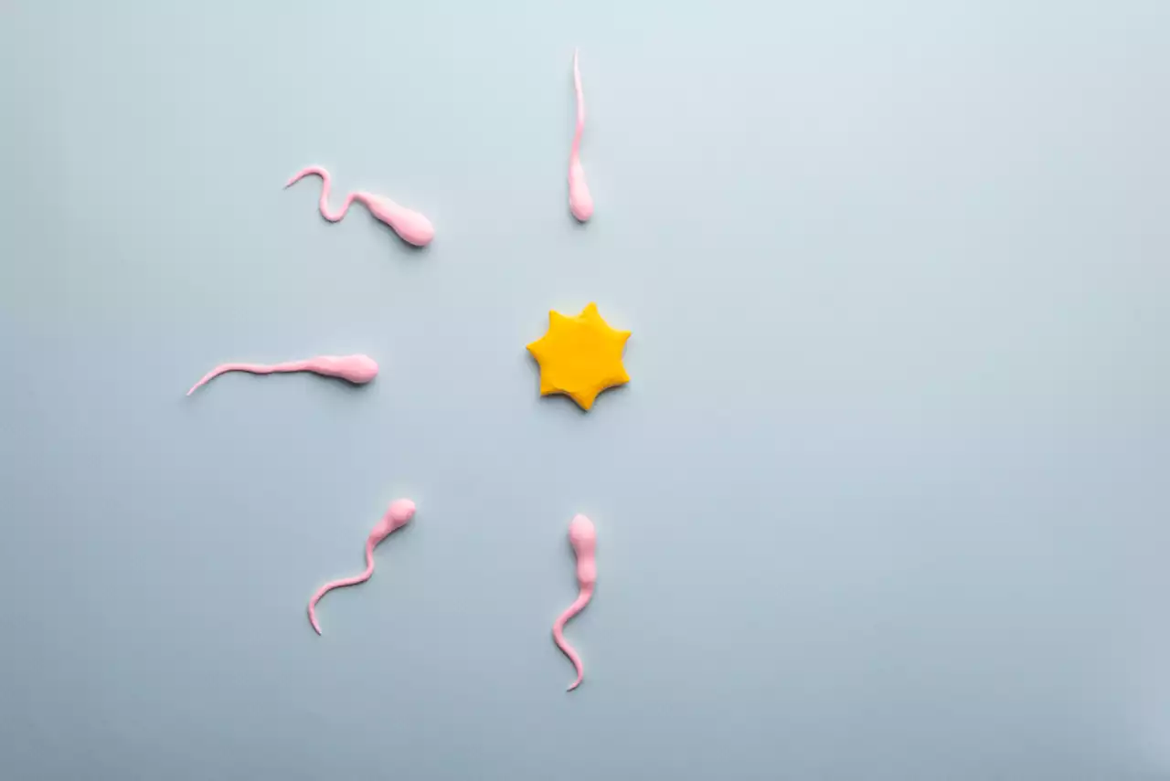 Why Has the Male Reproductive System Evaded Birth Control?