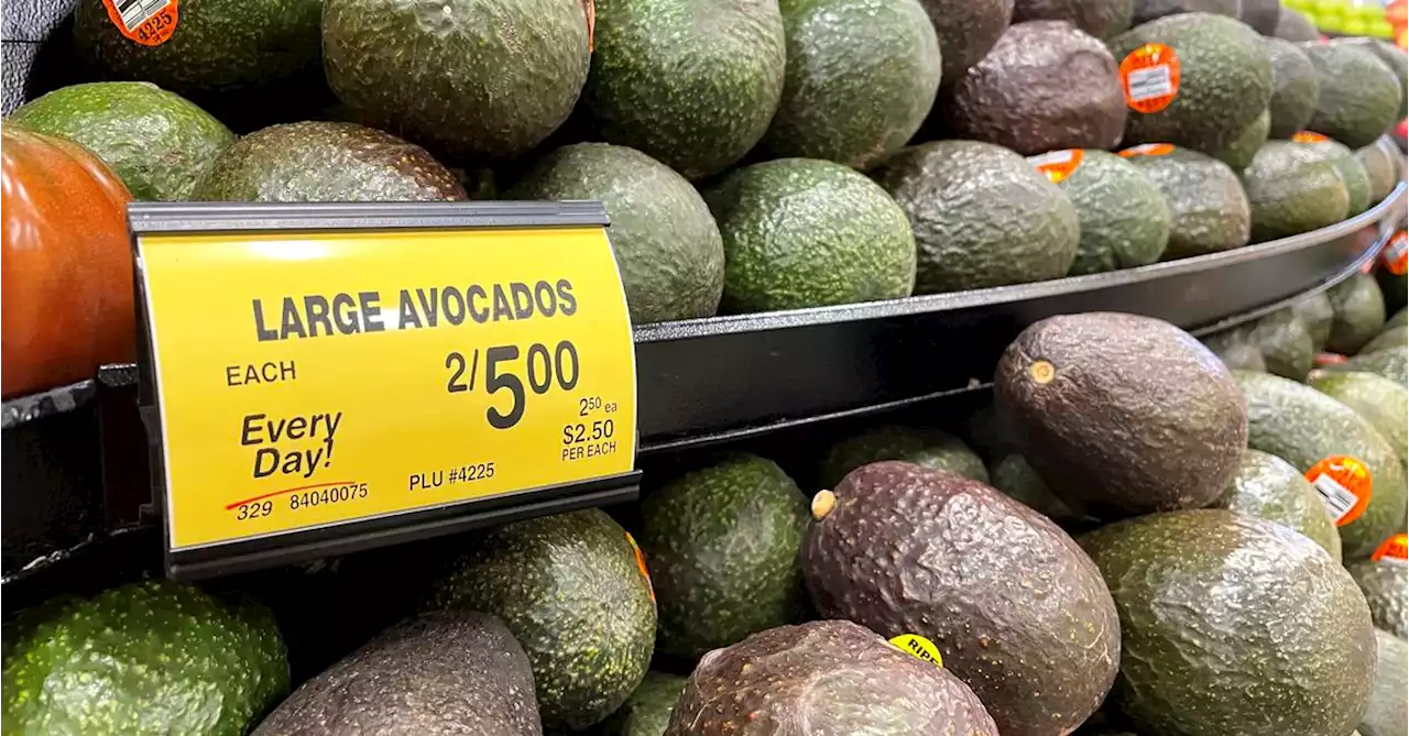 Avocados Will Get More Expensive, But the Costs for Growers in Mexico Are Much Higher