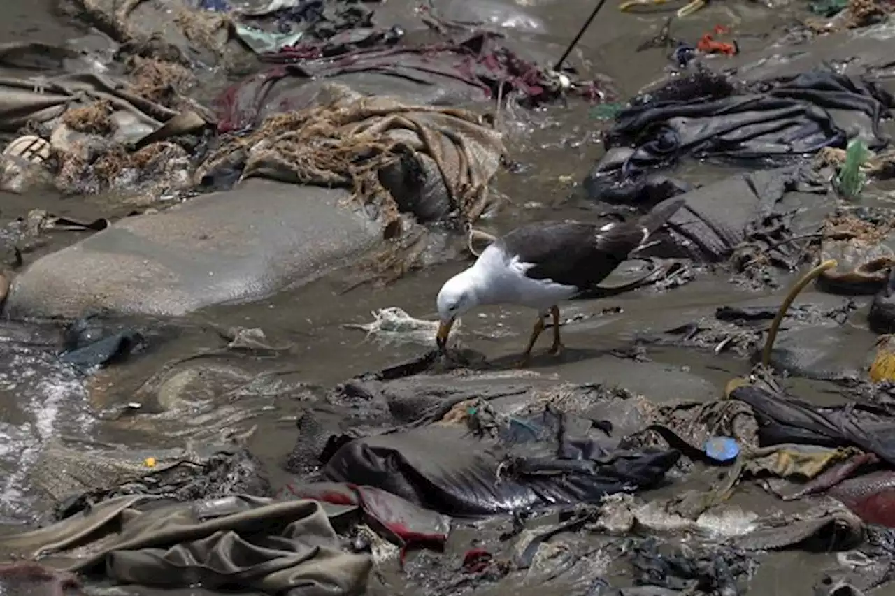 El desastre ecológico se esconde en el fondo del mar peruano tras el derrame