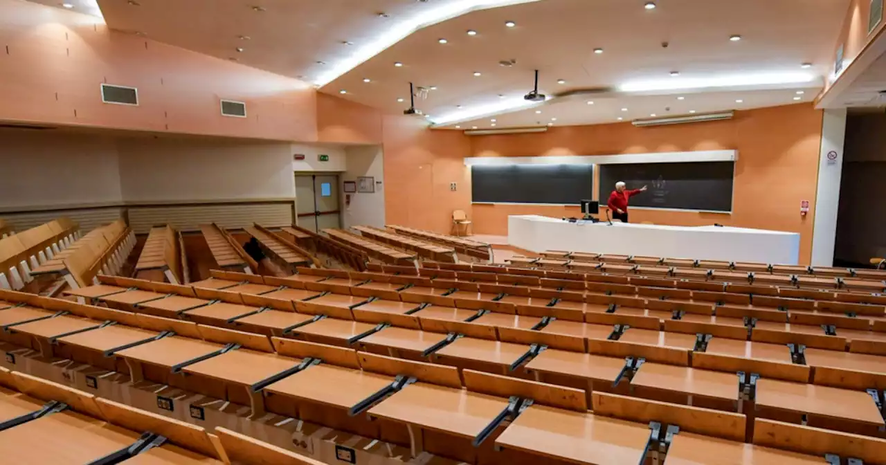 Università, la legge vieta i concorsi ai membri del cda? All'ateneo di Foggia non è così: il posto a giurisprudenza lo vince il prof-consigliere - Il Fatto Quotidiano