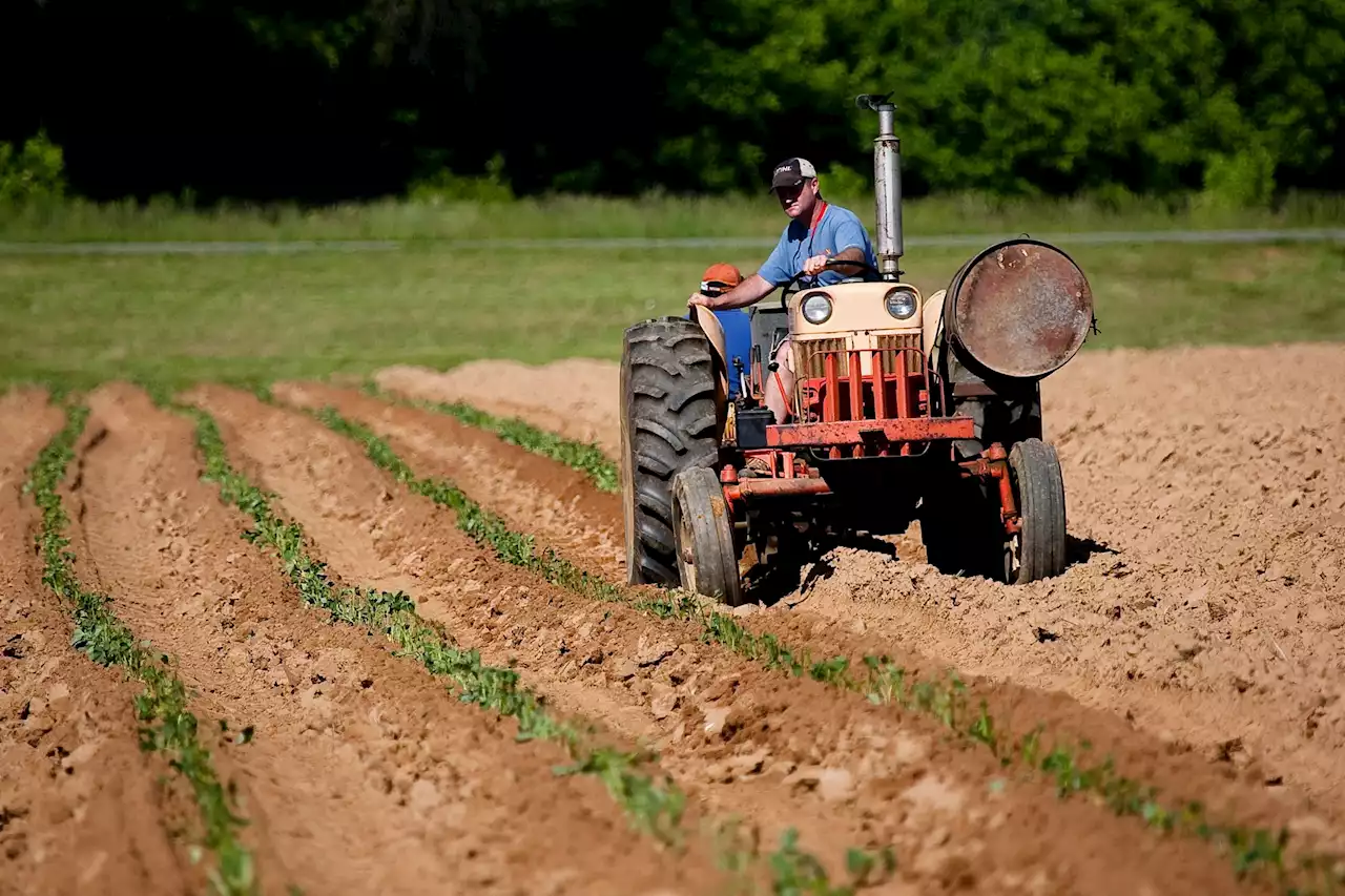 We need a national strategy for agri-food research and innovation