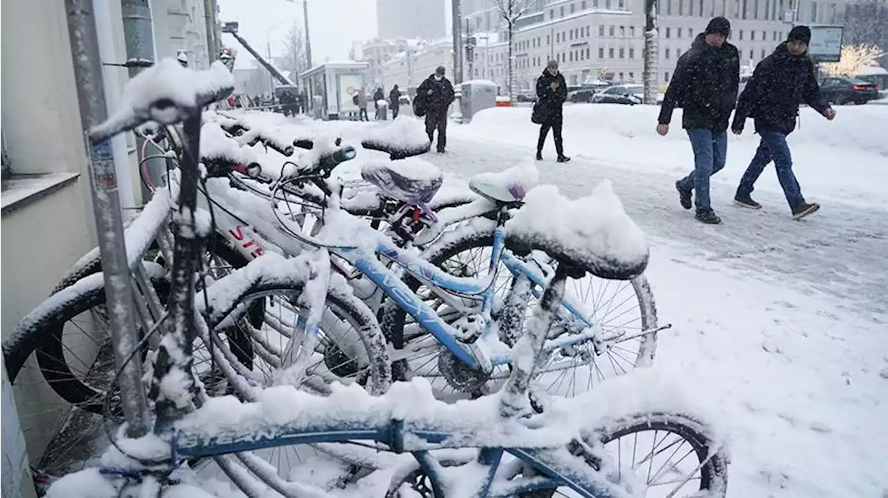 В Москве ввели режим повышенной готовности из-за ухудшения погоды