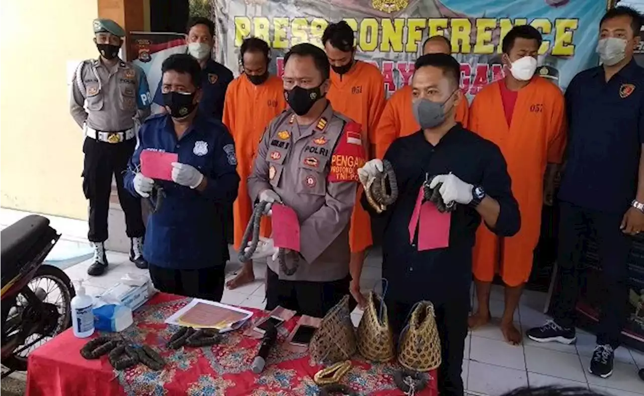 Selain Curi Ribuan Pis Bolong, 4 Pelaku Akui Sering Curi Uang Sesari