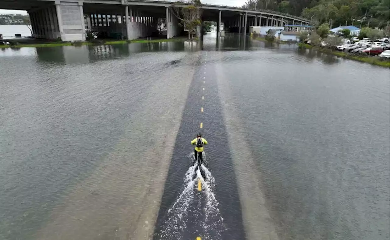 Ocean water along U.S. coasts will rise about one foot by 2050, scientists warn