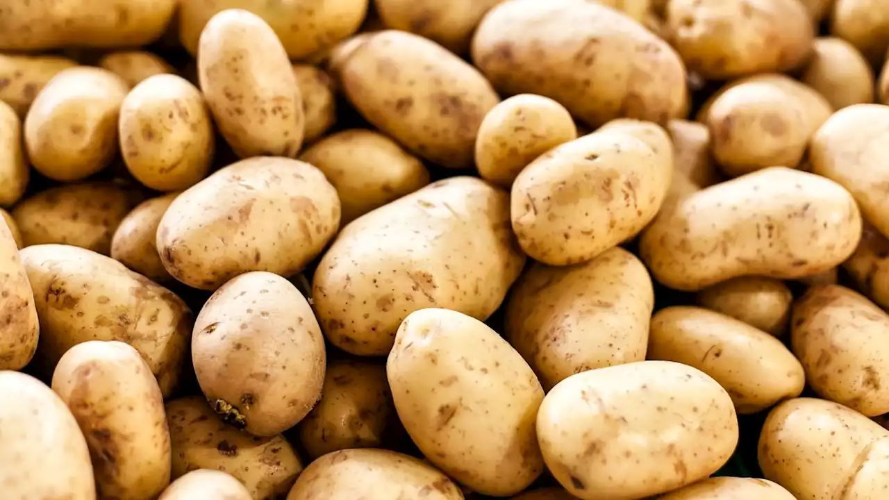 Potato nutrition facts & health benefits