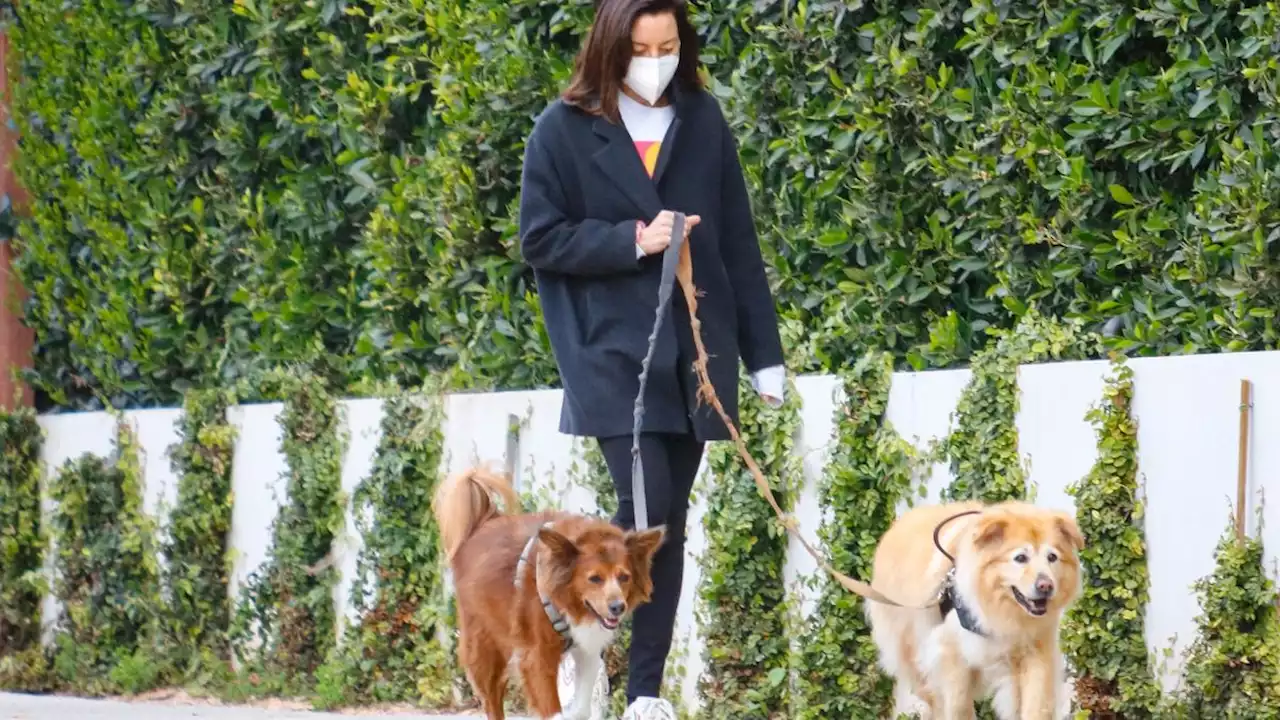 Um, Aubrey Plaza's Dogs Are Completely Stunning